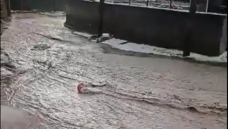 Sivas’ta Dolu ve Sağanak Yağış Sele Neden Oldu: Zarar Büyük!
