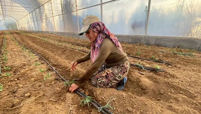 Fideler Toprakla Buluştu: Tarımın Geleceği İçin Günlük 6 Saatlik Çalışma!