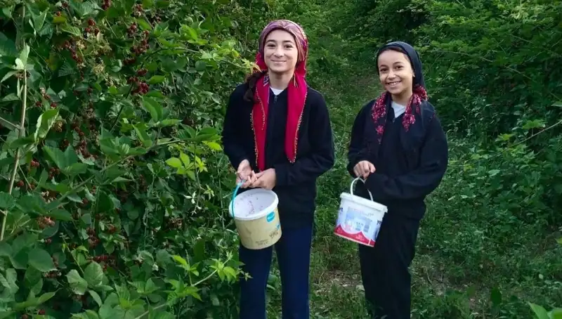 Sağlıklı Yaşamın Sırrı: Antioksidan Zenginliğiyle Kanserle Mücadele