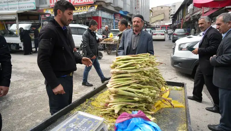 Dağlık Alanlardan Kanser ve Mide Hastalıklarına Şifa: Şekerin Gizli Gücü