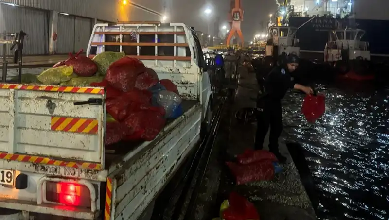 Kaçak Midye Avına Son: Şaşırtan Operasyon Detayları