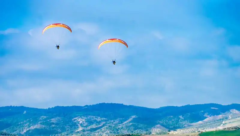 Polonya Askeri Eğitiminde Feci Kaza: İki Asker Hayatını Kaybetti