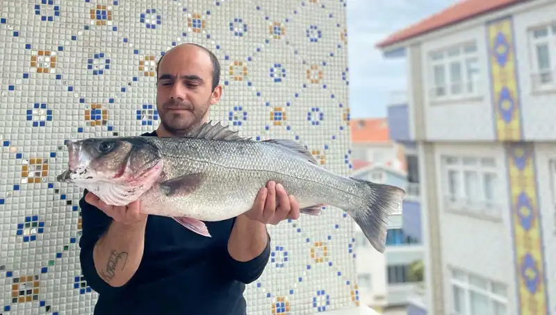 Türkiye Açıklarında 7,5 Kilogram Ağırlığında Dev Levrek Yakalandı!