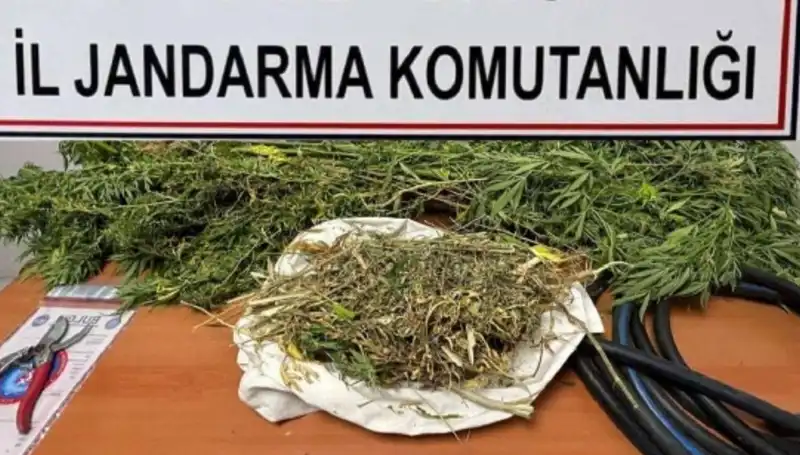 Niğde'de Uyuşturucu Operasyonu: 500 Kilo Esrar Ele Geçirildi