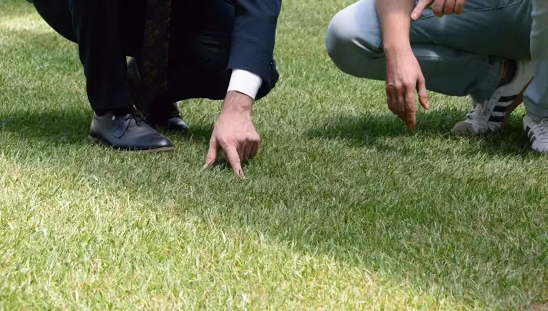 Stadyum Zeminiyle İlgili Tartışmalar Sürüyor: Son Durum Ne?