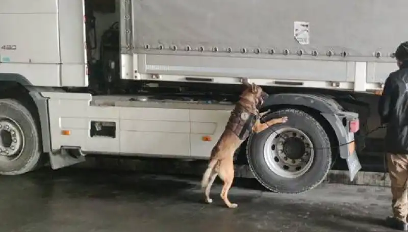 Limanda Uyuşturucu Operasyonu: Çete Çökertildi, Detaylar Şaşırtıyor!