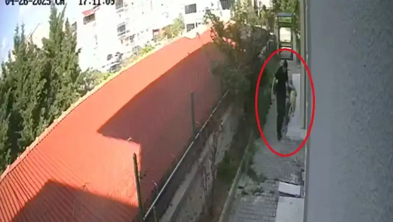 Veteriner Doktorun Şok Eden İhlali: Sahiplendiği Köpekleri Parçaladı!