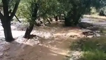 Mersin'de Sağanak Yağış Hayatı Olumsuz Etkiledi: Sel Felaketi Yaşandı
