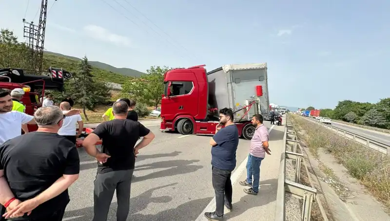 Seyir Halindeyken Arı Soktu: Trafik Kaosu ve Şok Anları Yaşandı!