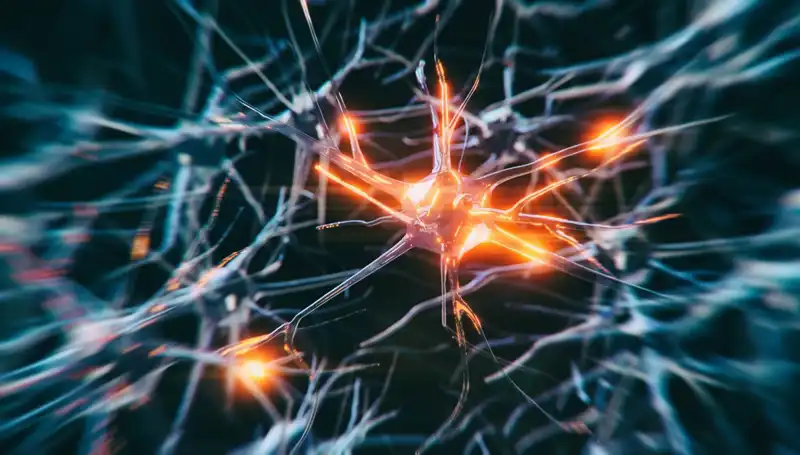 Alzheimer Vakaları Neden Hızla Artıyor? Uzmanlardan Çarpıcı Açıklamalar!