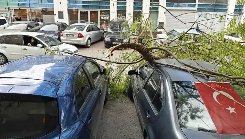 Kayseri’de Fırtına Hayatı Olumsuz Etkiledi: Dallar Kırıldı, Elektrikler Kesildi