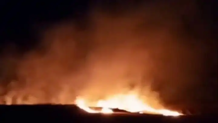 Tekirdağ'da 20 Dekar Buğday Alanı Yangında Kül Oldu