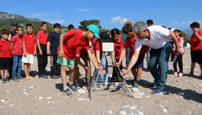 Kemer'de Caretta Caretta Koruma Yasakları Hayata Geçti