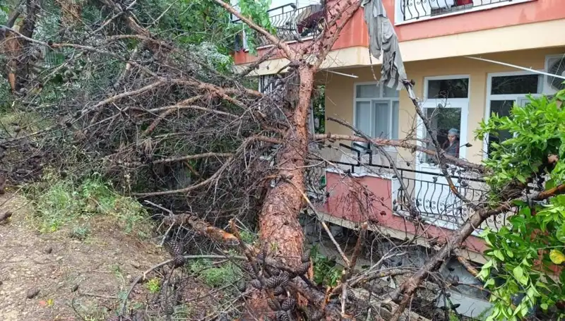 Şiddetli Yağmur, Eski Bina ile Altında Kaldırdığı Hayatlar