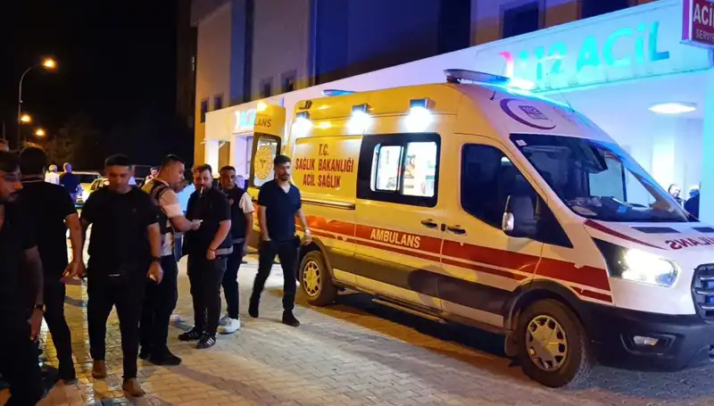 Kardeşini Korumaya Çalışan Genç, Hayatını Kaybetti: Olayın Perde Arkası