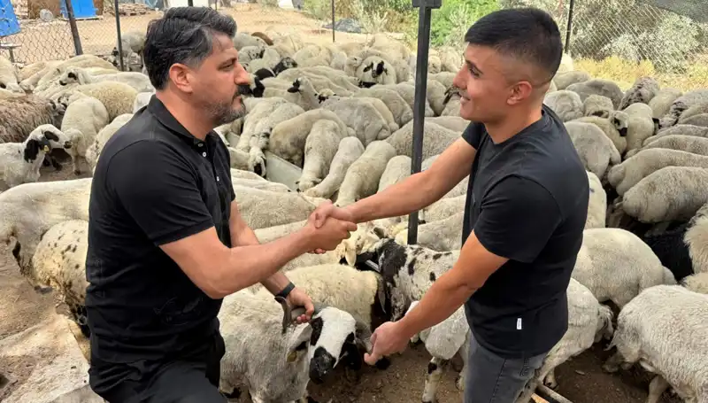Kurbanlık Alırken Nelere Dikkat Etmeli? Tuz ve Sumak İle Şişkinlik Tuzağı!