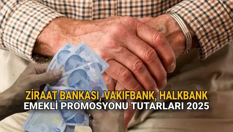 2025'te Emekli Promosyonlarında Son Durum: Kamu Bankalarının Teklifleri