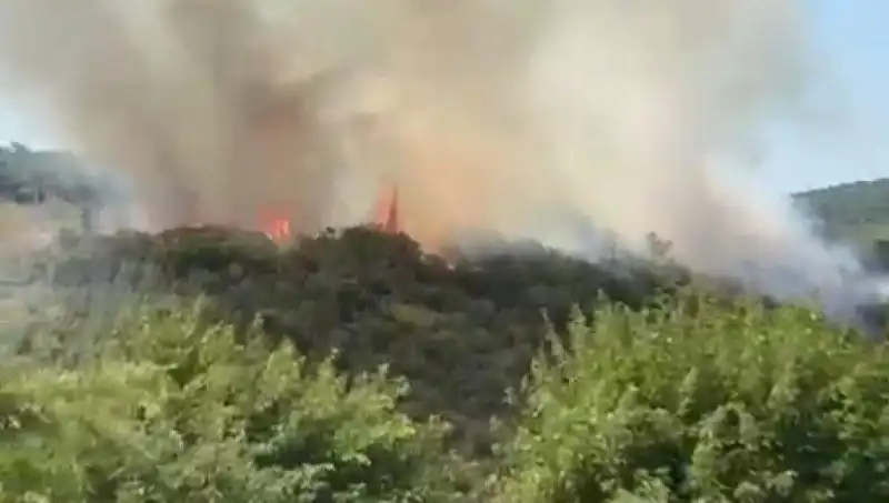İstanbul'un Kalbinde Patlak Veren Orman Yangını, Vatandaşlar Tahliye Edildi