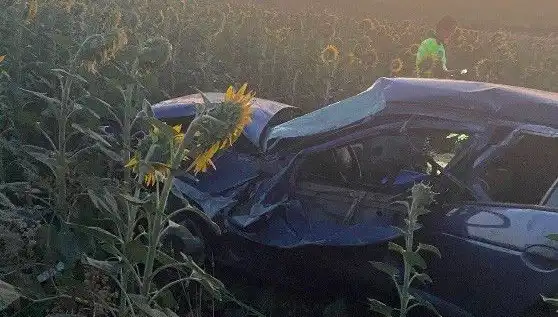 Otomobil Ayçiçeği Tarlasına Devrildi: Kaza Sonrası Yaralılar Hastaneye Sevk Edildi