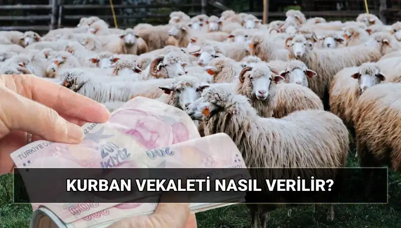 Vekaletle Kurban Kesimi: 2025 Diyanet Bedeli ve Süreç Rehberi