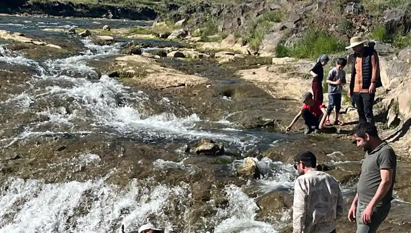 İnci Kefali Göçü: Doğa Harikası Turizmin Yeni Yüzü