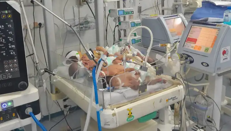 Gazzeli Doktorlar, Kuvöz Yetersizliği ile Mücadele Ediyor: Bebekler Yan Yana