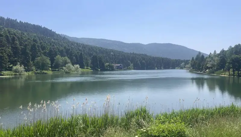 Bolu Milli Parkları: Doğanın Kalbinde Yoğun Ziyaretçi Akışı