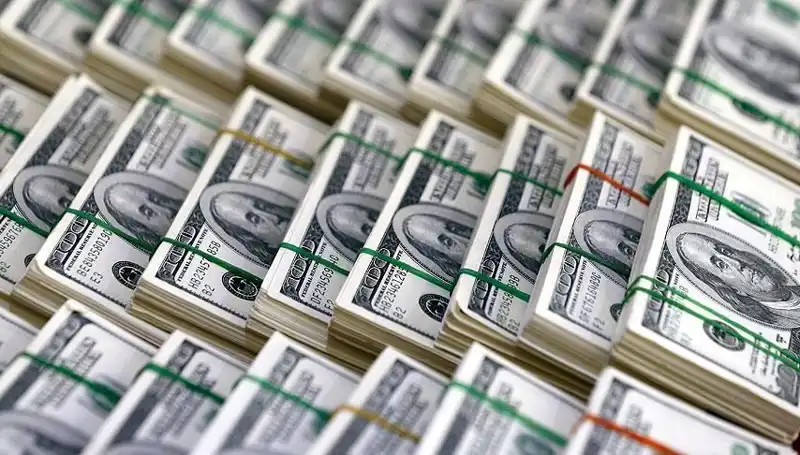 Doların Hızla Yükselişi: Uzmanlardan Kritik Uyarılar
