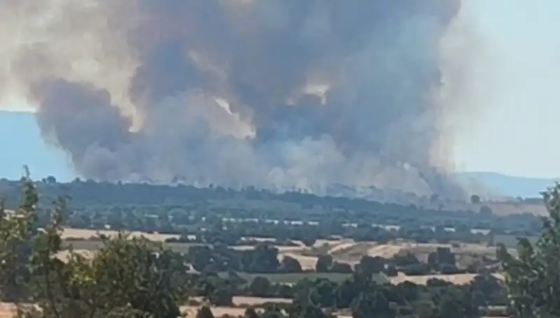 Komşu Ormanda Çıkan Yangın Edirne'yi Nasıl Etkiledi?