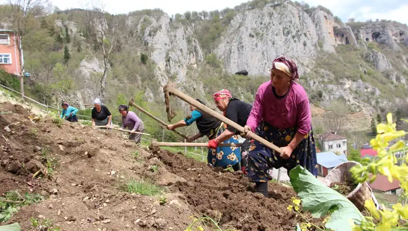 Zorlu Mesai: Sepetler ve Kazmalarla Yeni Bir İş Gününe Merhaba!