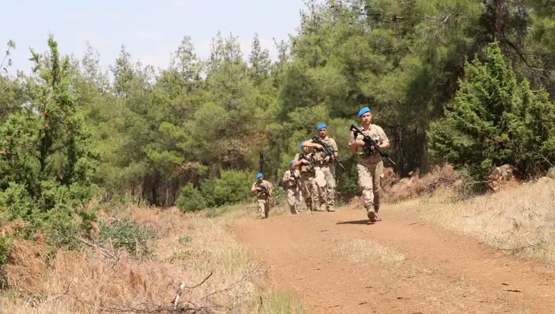 Kilis’te Orman Yangını Denetimleri: Son Durum ve Önlemler