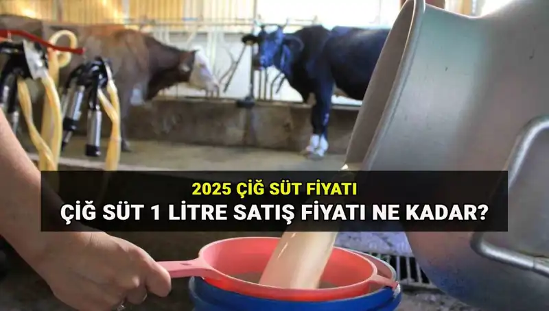 Çiğ Süt Fiyatları 2025: Ulusal Süt Konseyi Açıklamaları ve Beklentiler