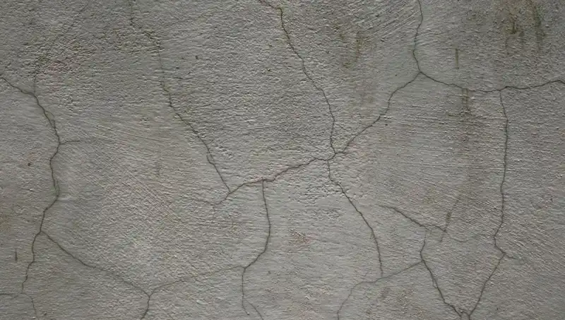Canlı Beton: Yapıların Kendini Onaran Geleceği