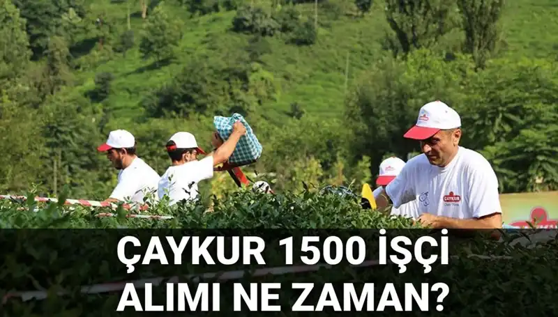 Çaykur İşçi Alımı Başvuru Tarihleri ve Süreci Hakkında Tüm Detaylar