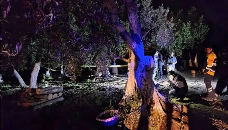 Çiftlikte Baltalı Vahşet: Olayın Ardındaki Sır Perdesi Aralanıyor