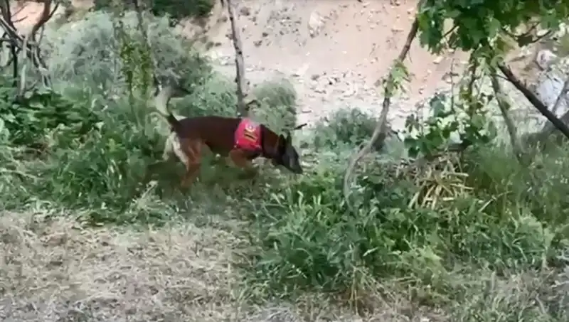 Dere Kenarında Gizli Esrar İhbarı: Dedektör Köpek Başarıyla Buldu