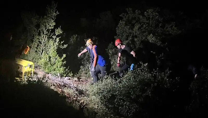 Define Avcılarının Kazdığı Kuyu, Cezaevine Girmelerine Neden Oldu