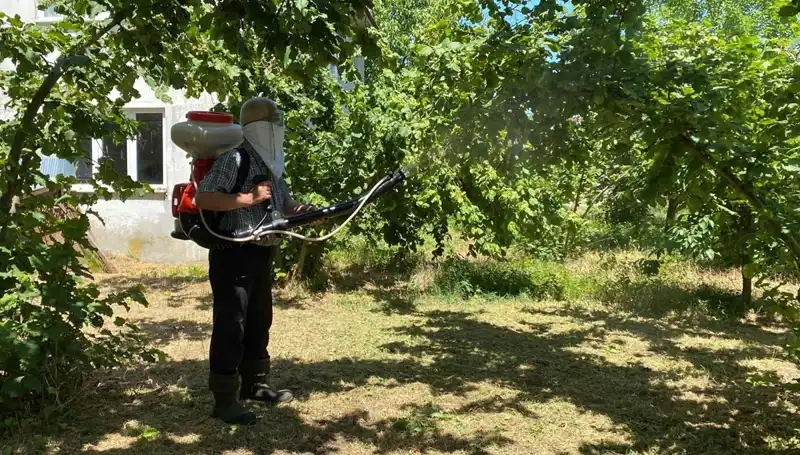 Tarımda Mücadele: Kükürt ile Samuray Arısının Rolü Nedir?