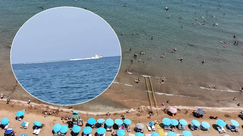Plajda Köpek Balığı Korkusu: Güvenlik Önlemleri ve Sonrasındaki Şok Gerçek