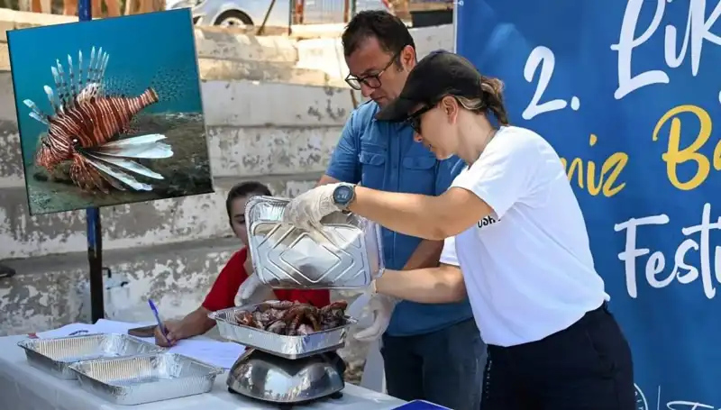 Antalya'da İstilacı Aslan Balığı Avlama Yarışması: Denizlerimizi Koru!